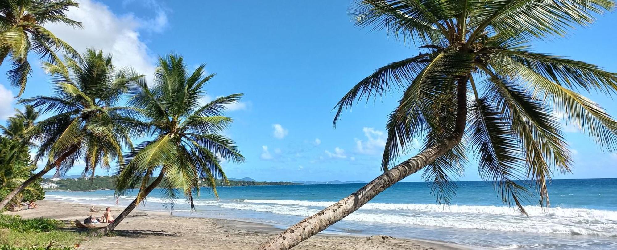Villa Kanelle, F4, commerces et plage à 100m, Le Diamant Extérieur photo
